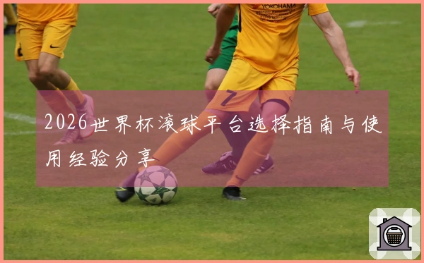 2026世界杯滚球平台选择指南与使用经验分享