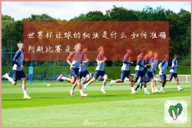 世界杯让球的秘诀是什么 如何准确判断比赛走势