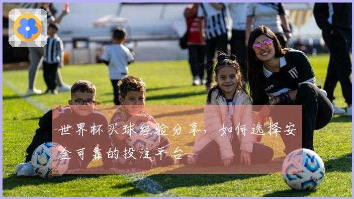 世界杯买球经验分享，如何选择安全可靠的投注平台