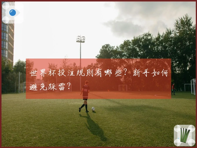世界杯投注规则有哪些？新手如何避免踩雷？