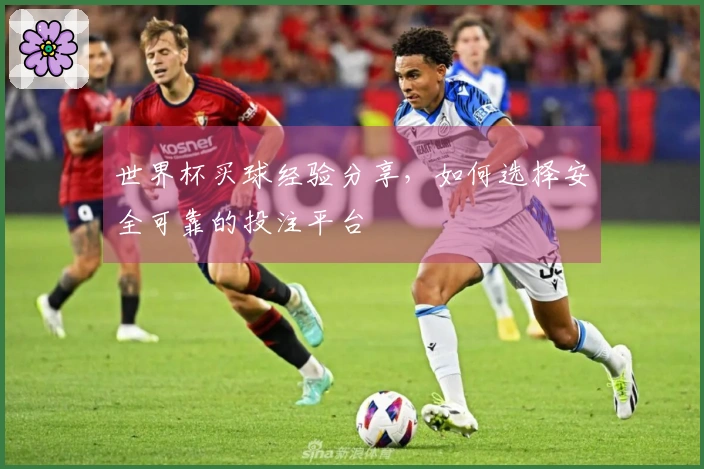 世界杯买球经验分享，如何选择安全可靠的投注平台